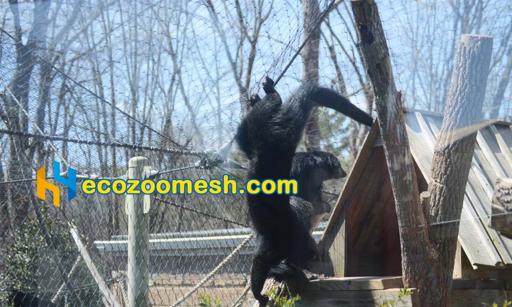 stainless steel animal aviary mesh for binturong