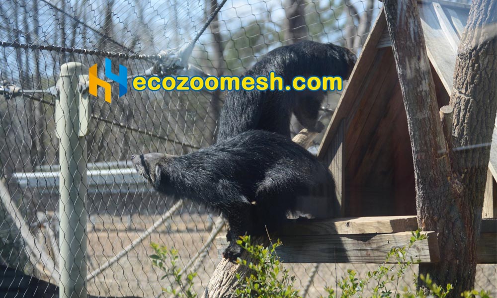 binturong's aviary stainless steel animal aviary mesh