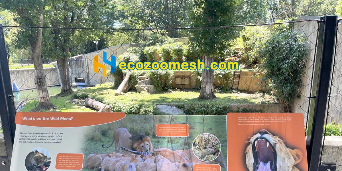 Lion Exhibit Mesh fence