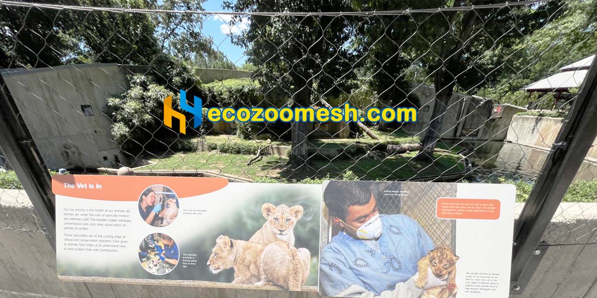 Lion Exhibit Mesh new enclosure