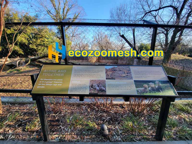 Cheetah Fence Cable Mesh fence