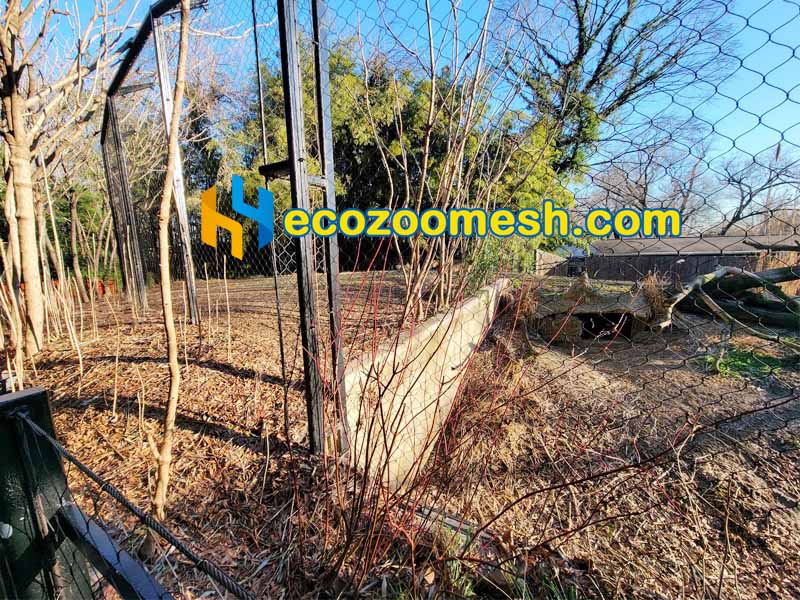 Cheetah Yard Cable Mesh